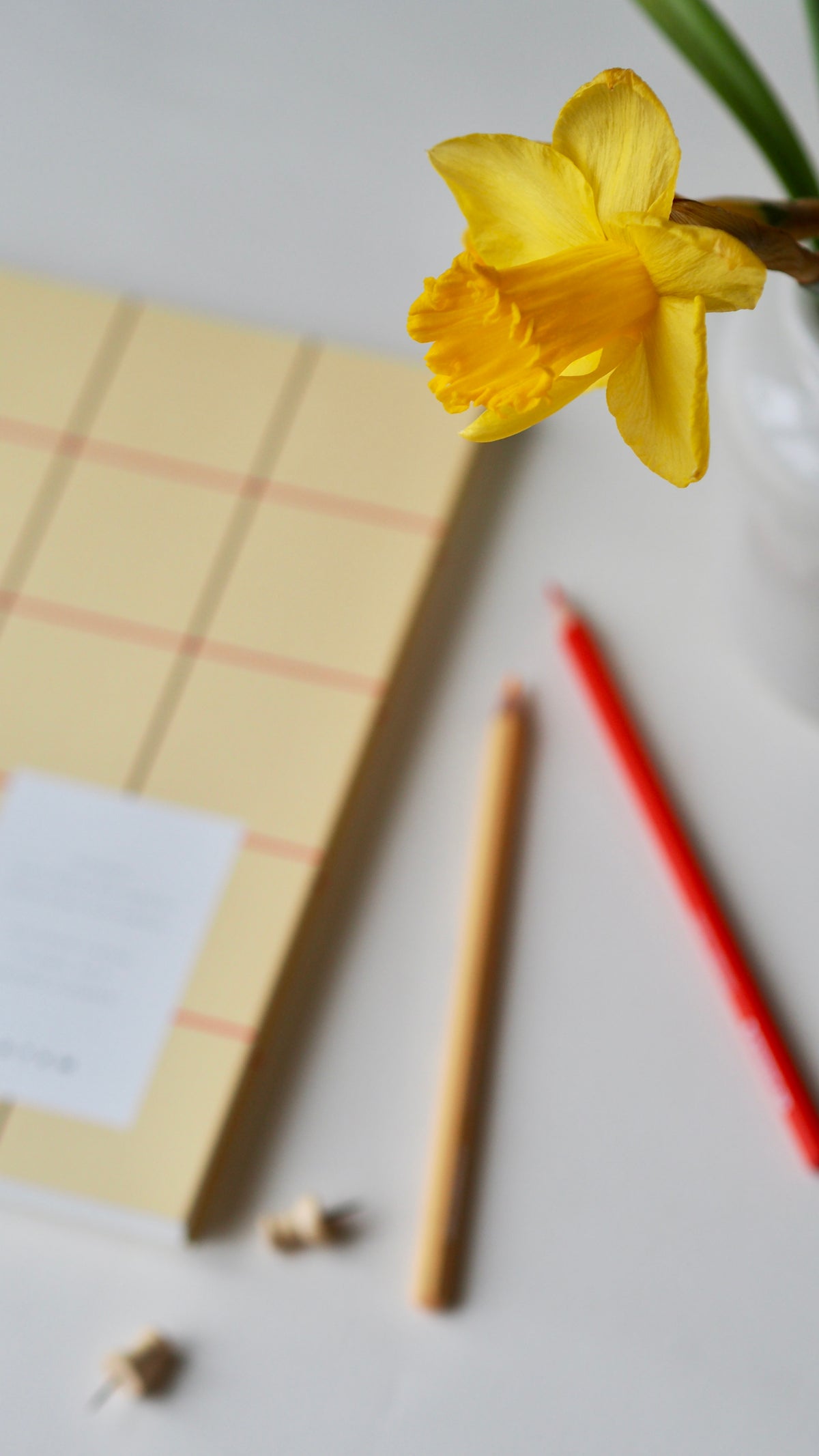 UMA Notebook, Large - Yellow Check