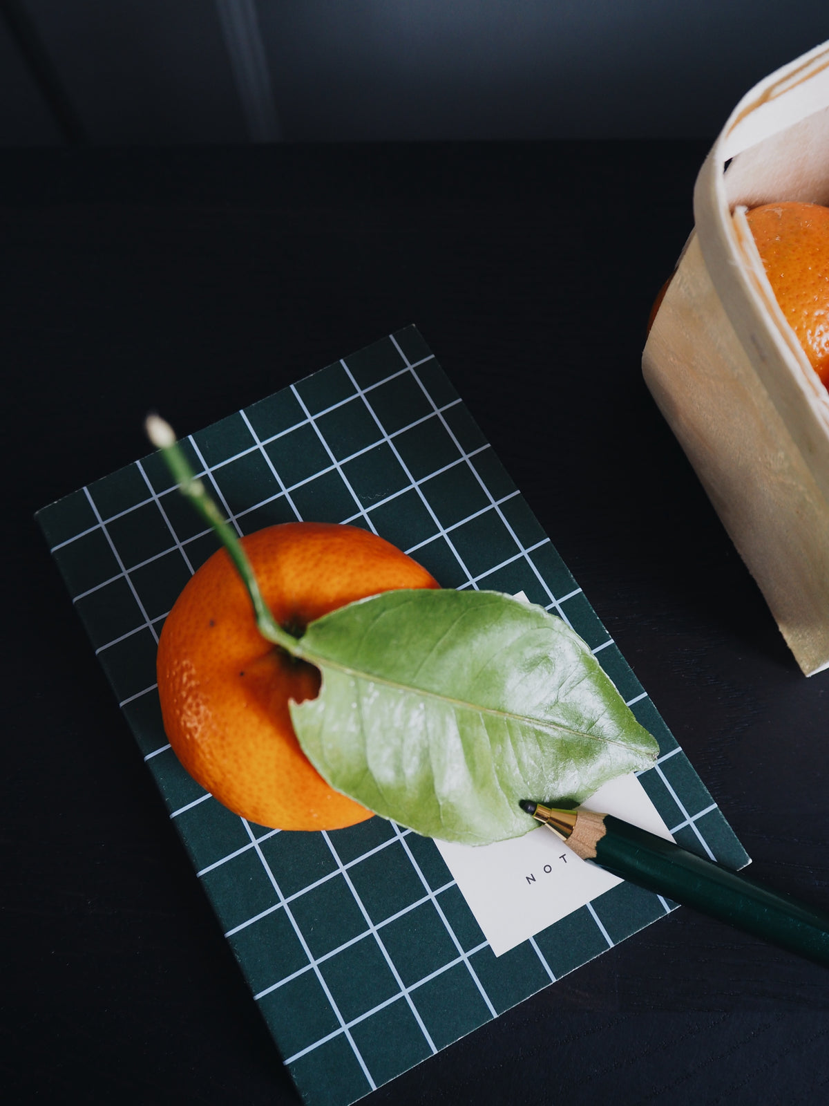 Carnet UMA, petit format - Vert foncé